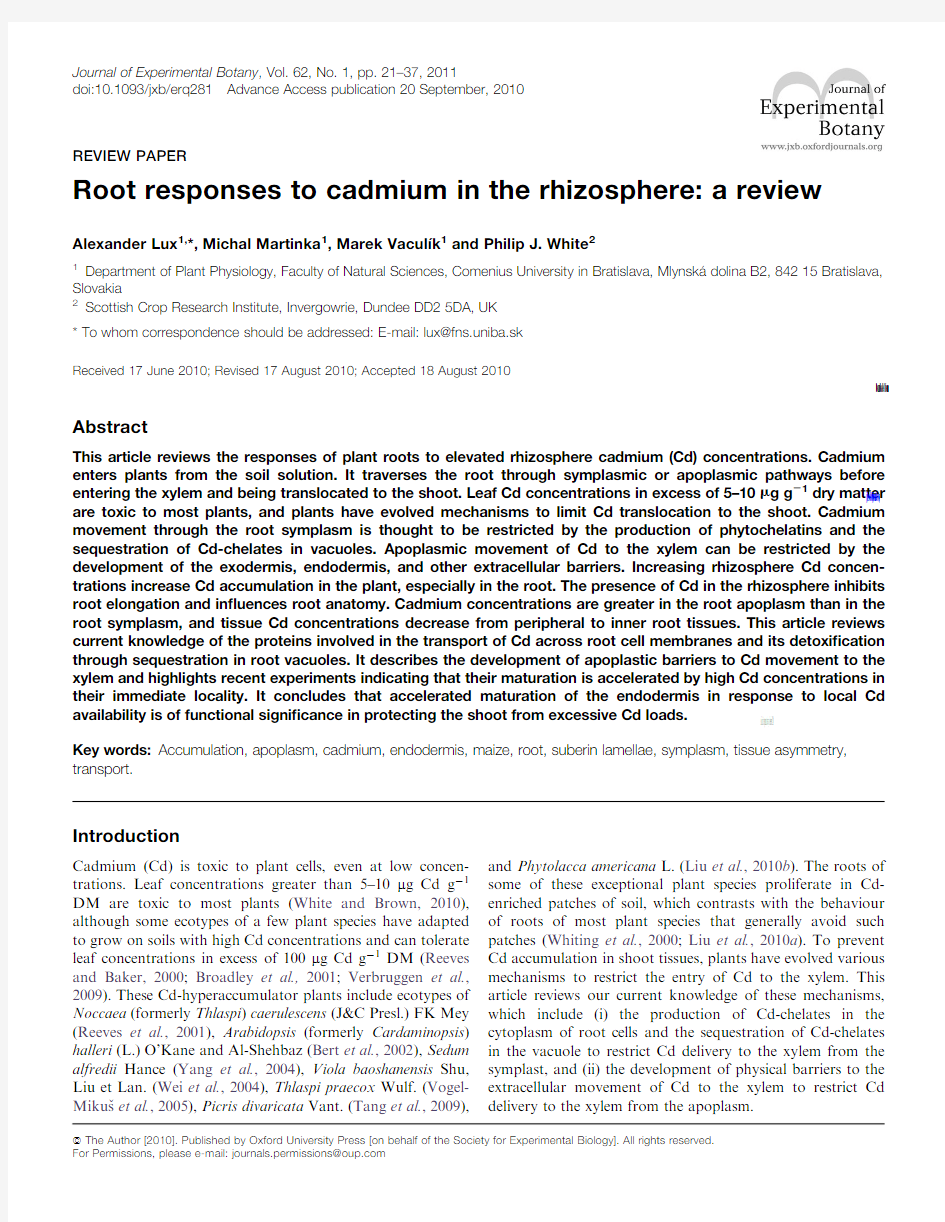 Root responses to cadmium in the rhizosphere