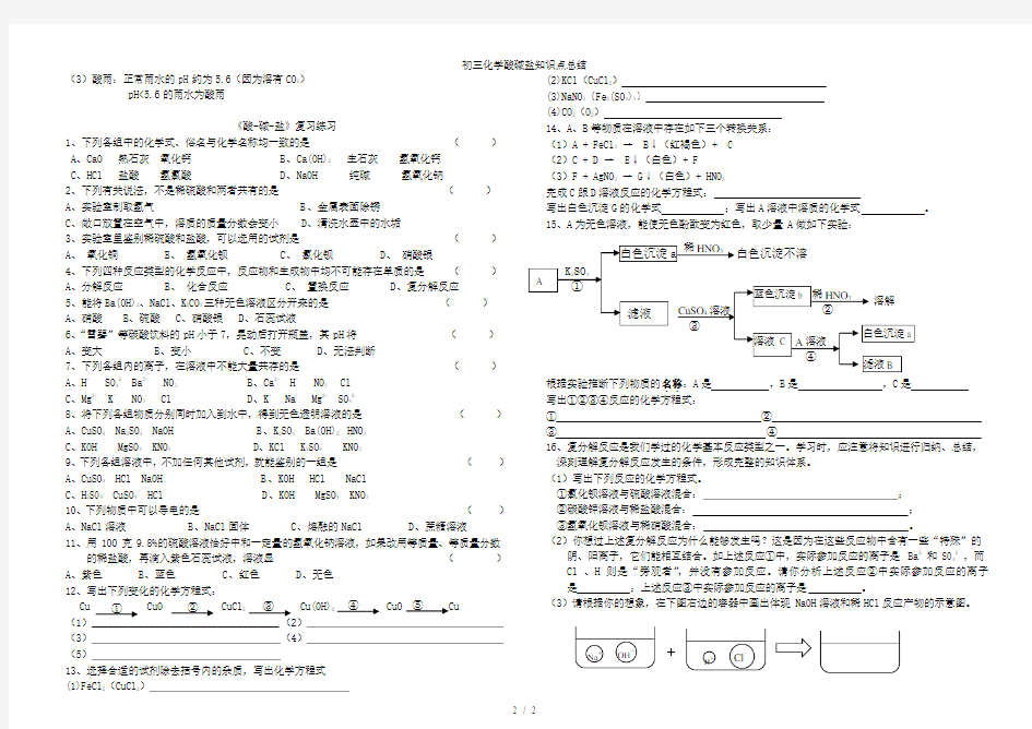 初三化学酸碱盐知识点总结