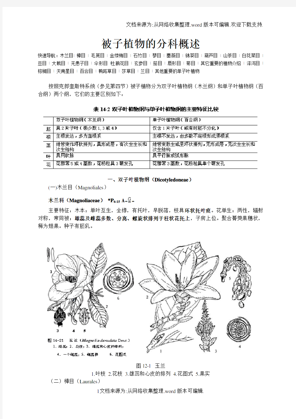 被子植物的分科概述