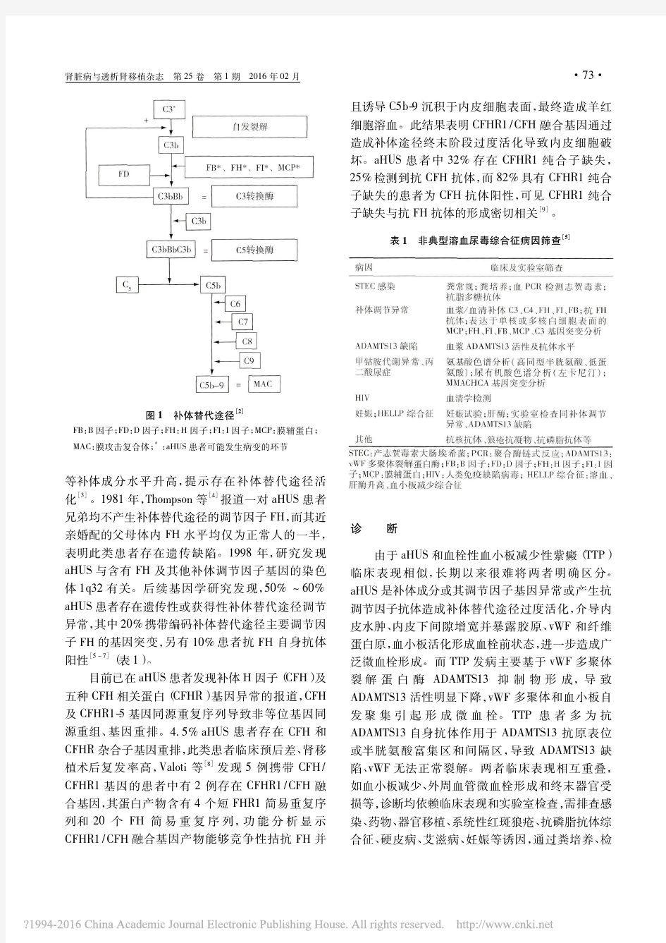 非典型溶血尿毒综合征_杨柳