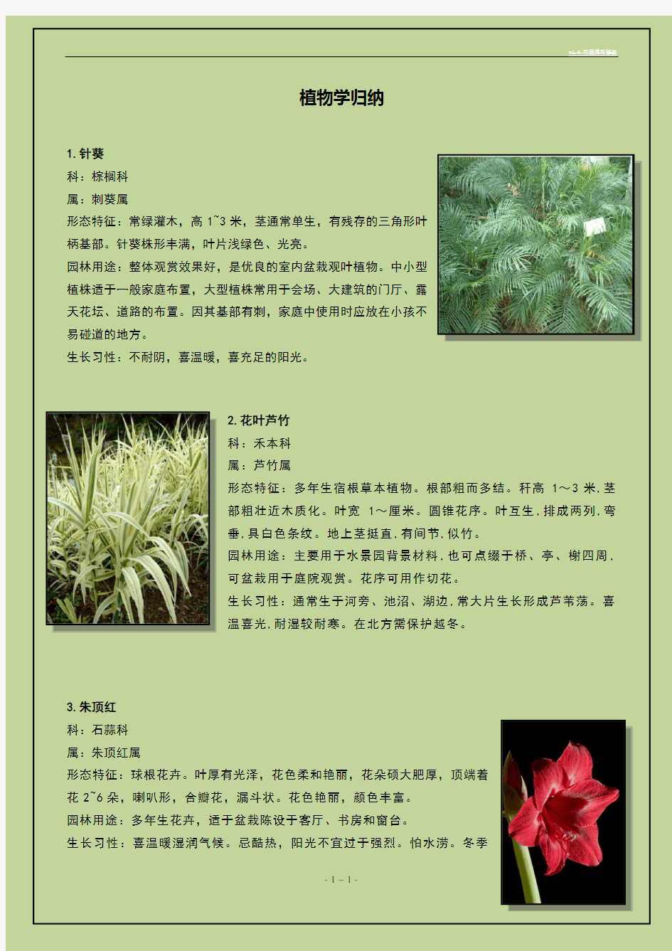 50种植物配图介绍