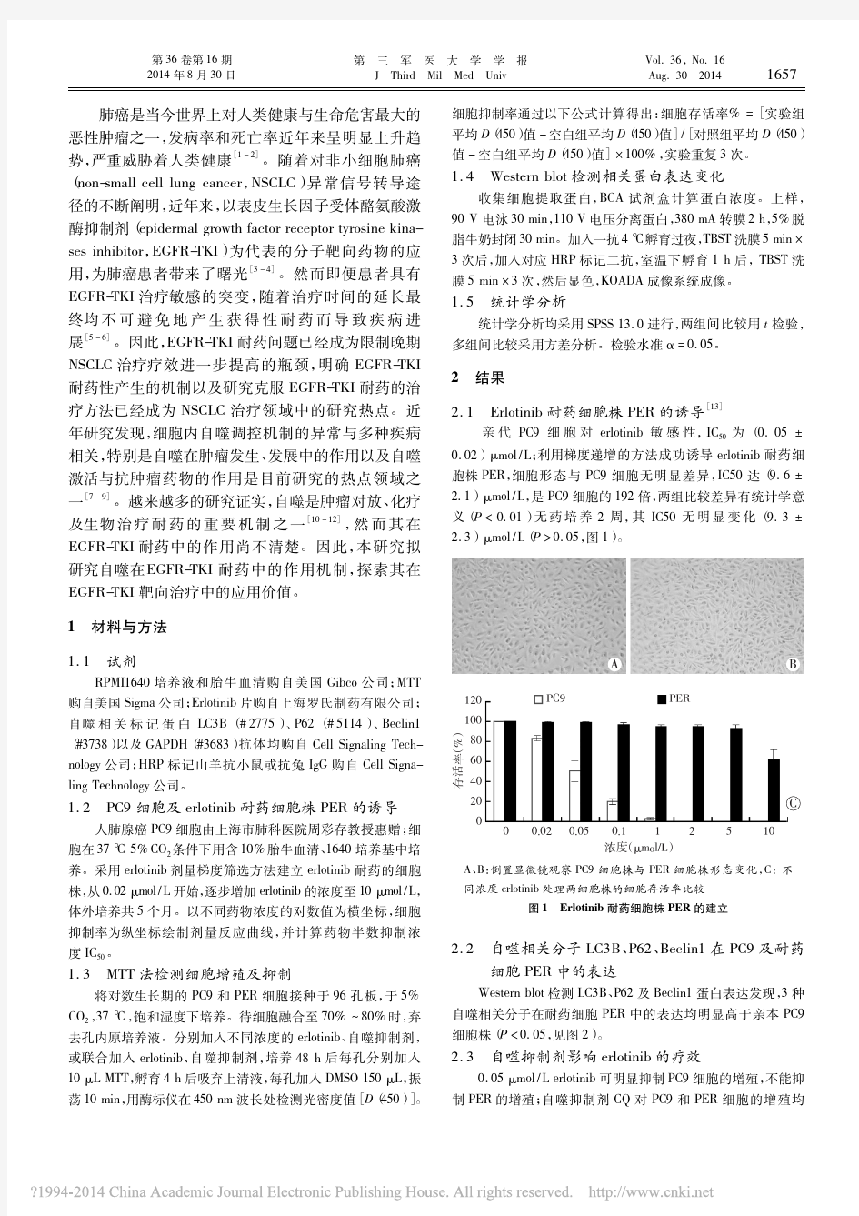 自噬在表皮生长因子受体酪氨酸激酶抑制剂耐药中的作用_刘明