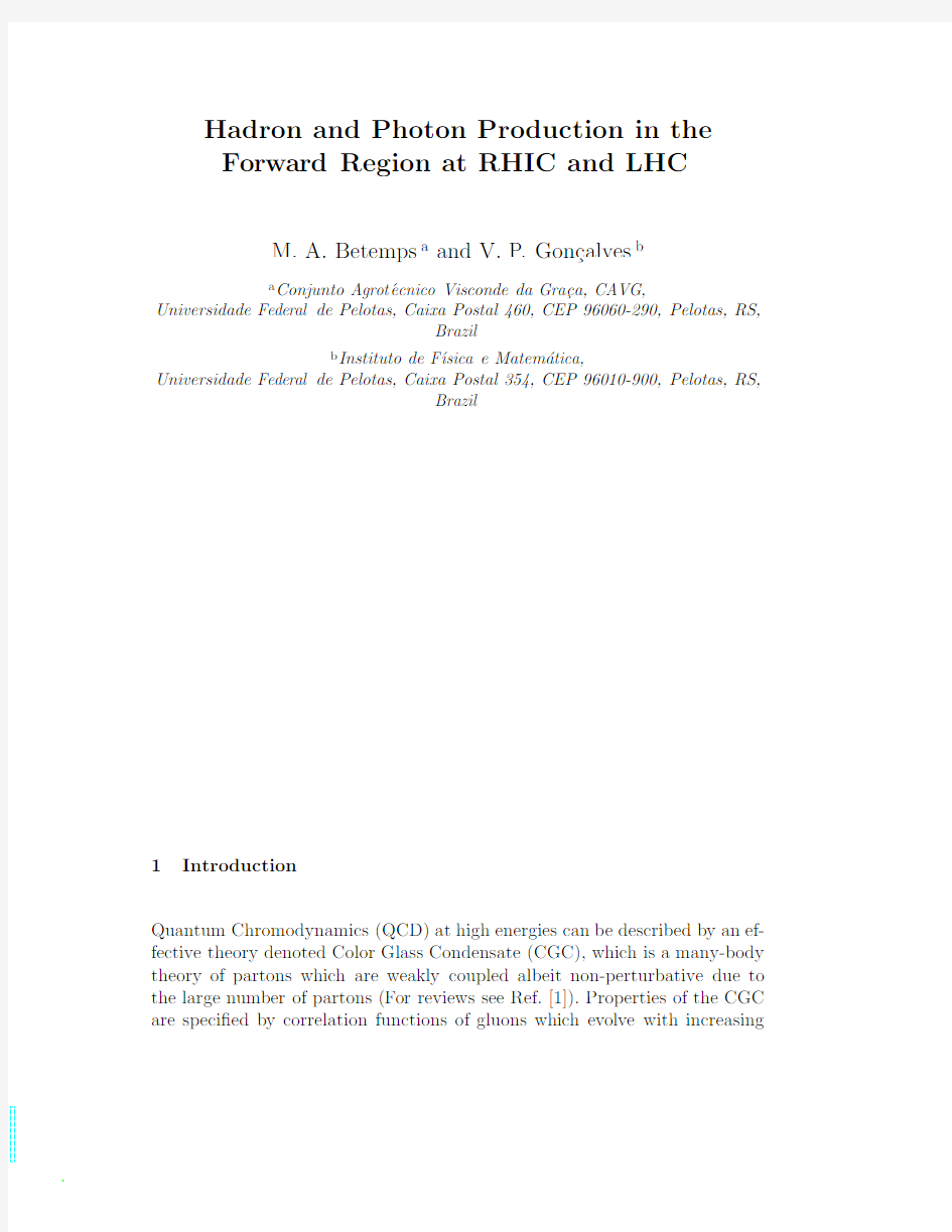 Hadron and Photon Production in the Forward Region at RHIC and LHC