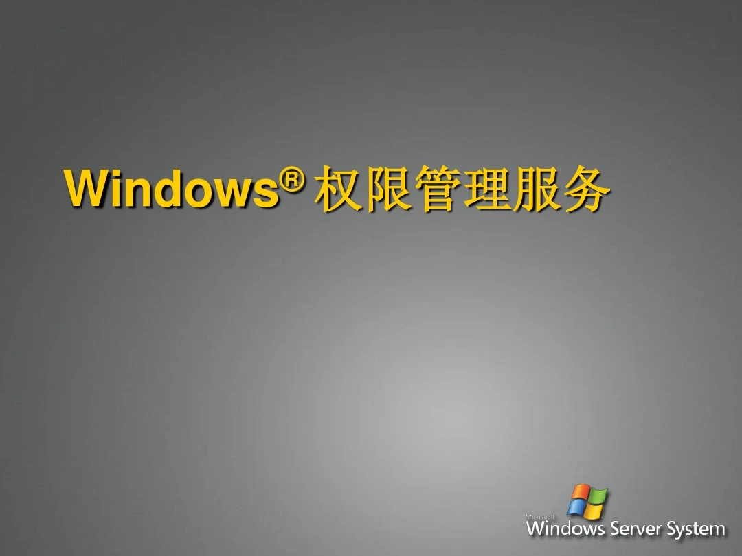 Windows权限管理服务