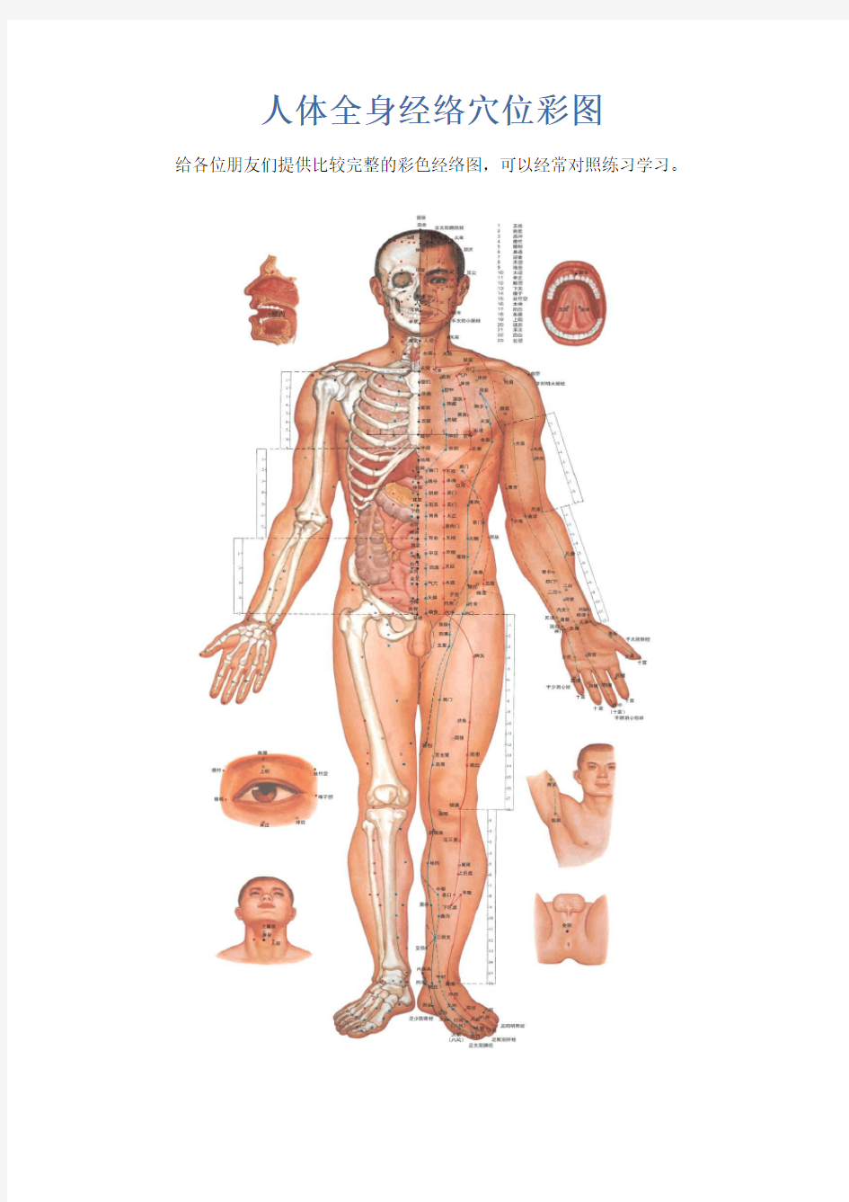 人体全身经络穴位彩图