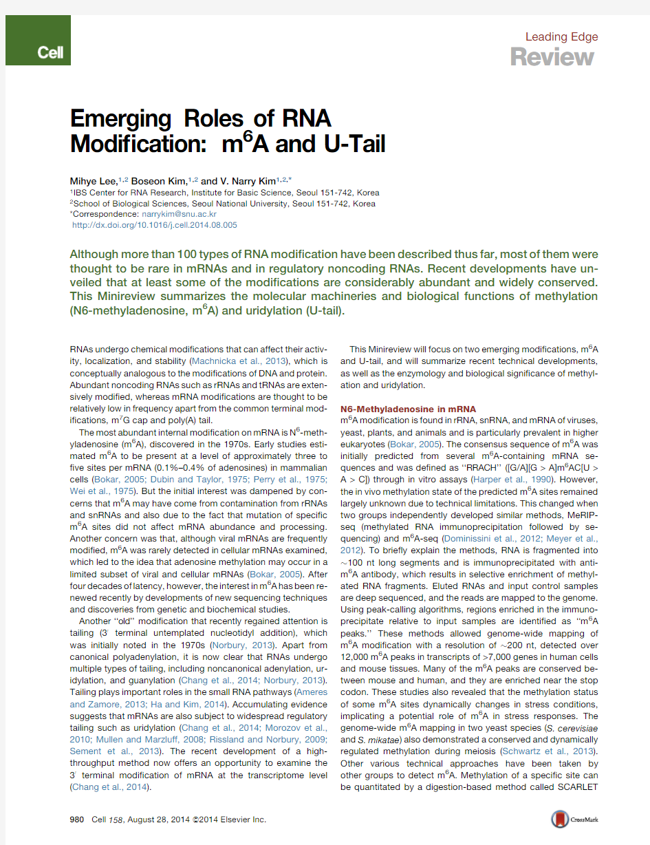 Cell.2014.08.05-Emerging Roles of RNA