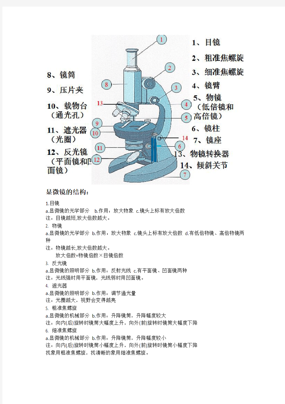 (完整word版)初中显微镜结构及使用