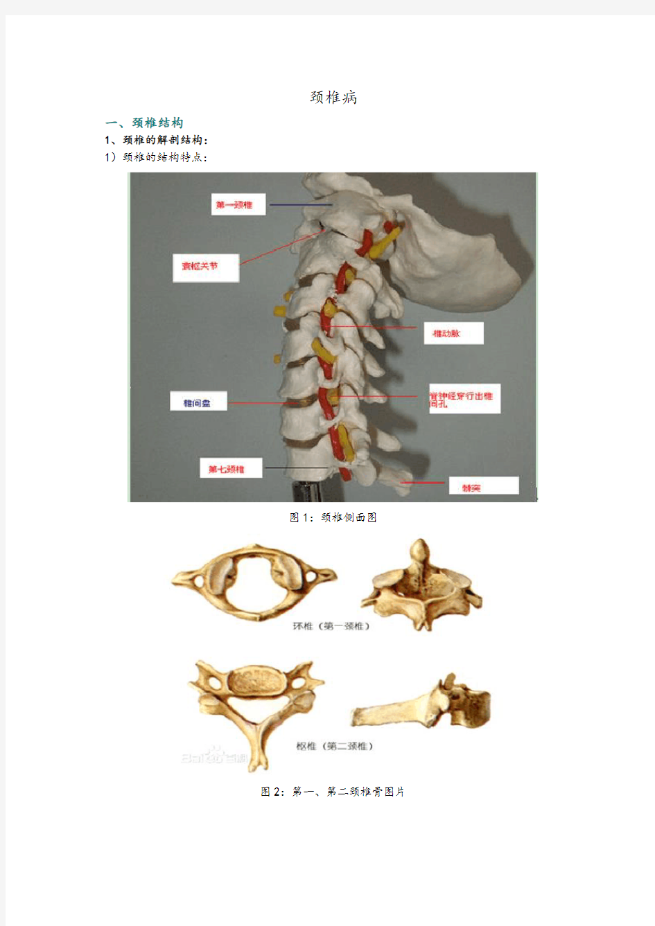 颈椎病内容整理(多图)