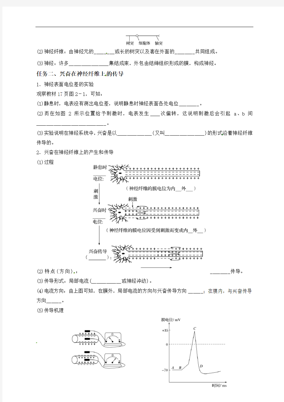 河北省邢台市第三中学高中生物必修三：211通过神经系统的调节学案（无答案）