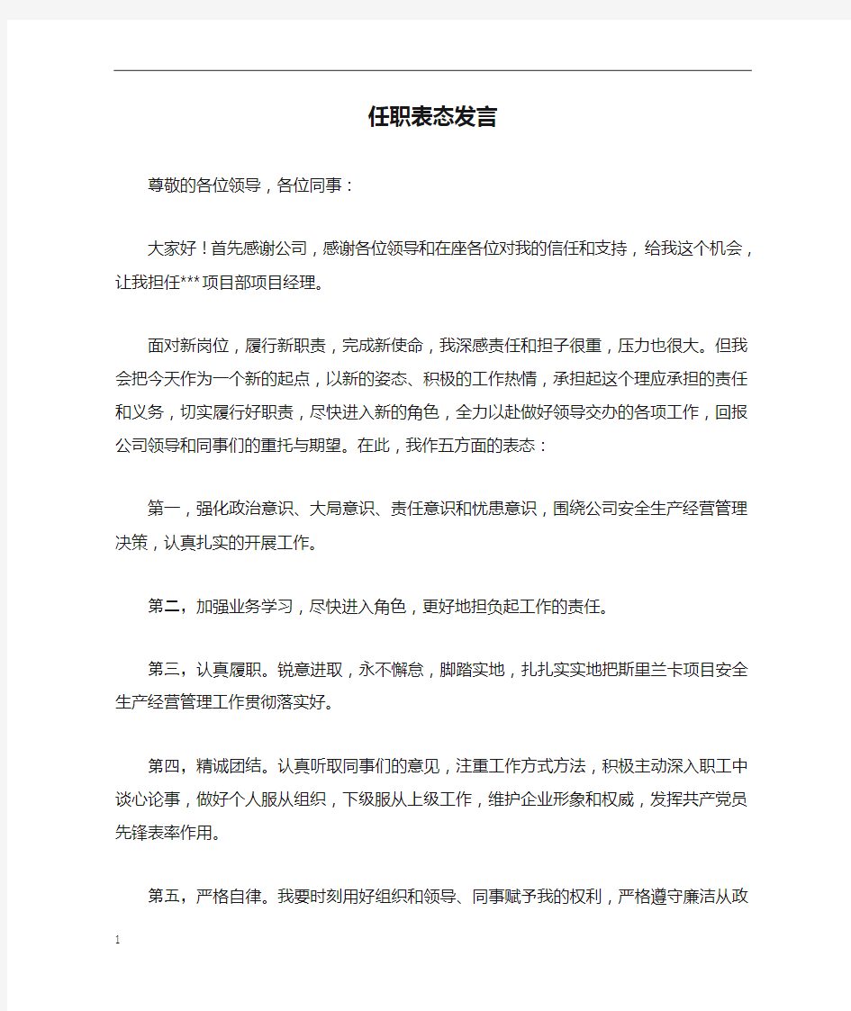 2018项目经理任职表态发言 (1)