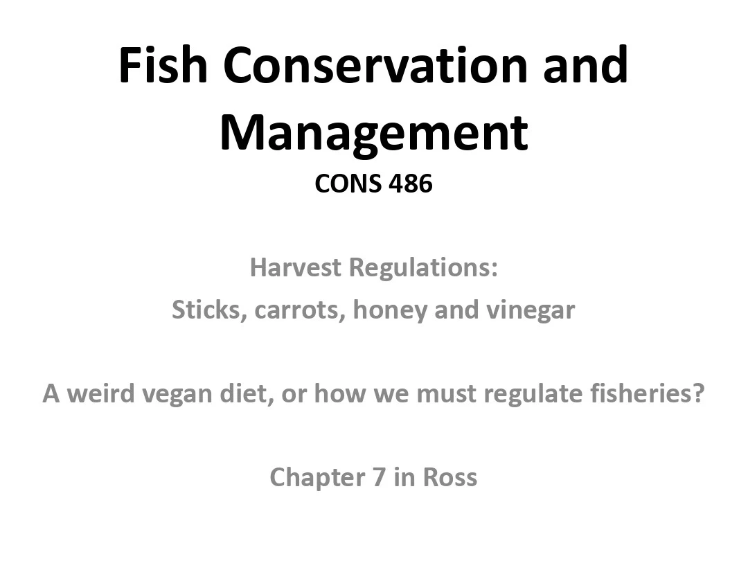 鱼类养护和管理 (12)