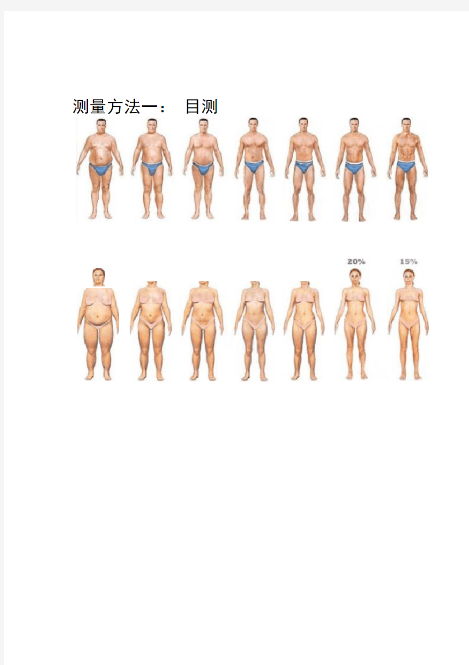 测测你的体脂率-附男女标准体脂率对照表