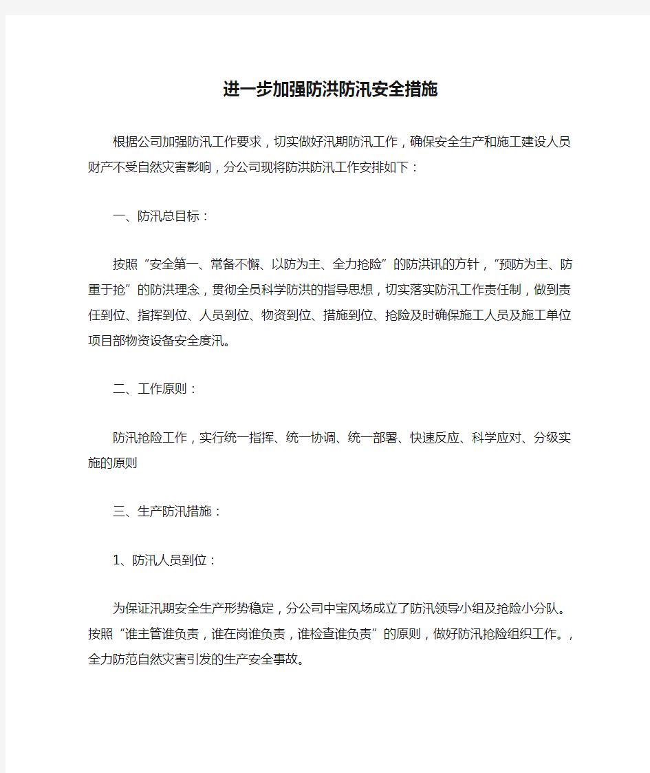 进一步加强防洪防汛安全措施