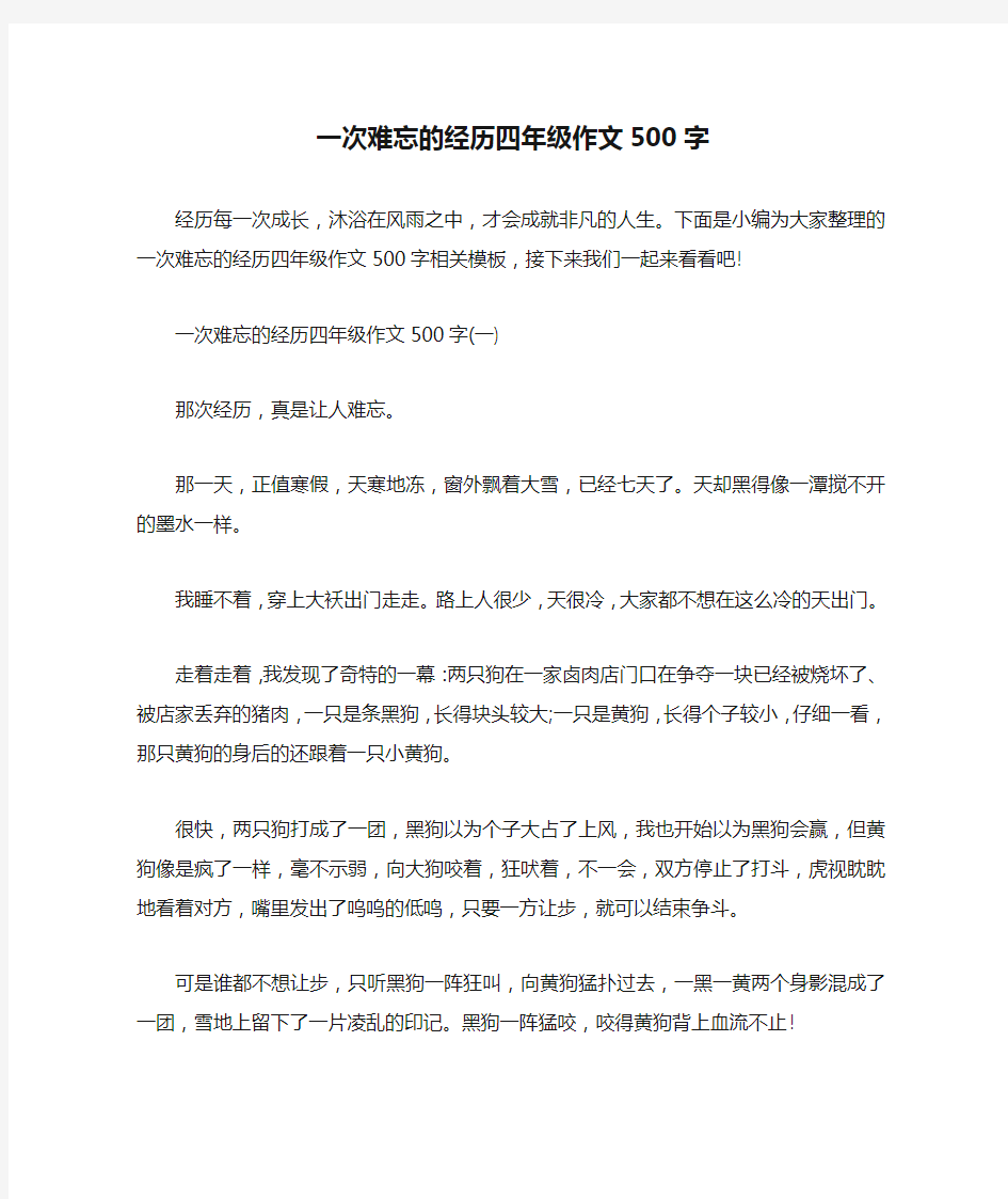 一次难忘的经历四年级作文500字 