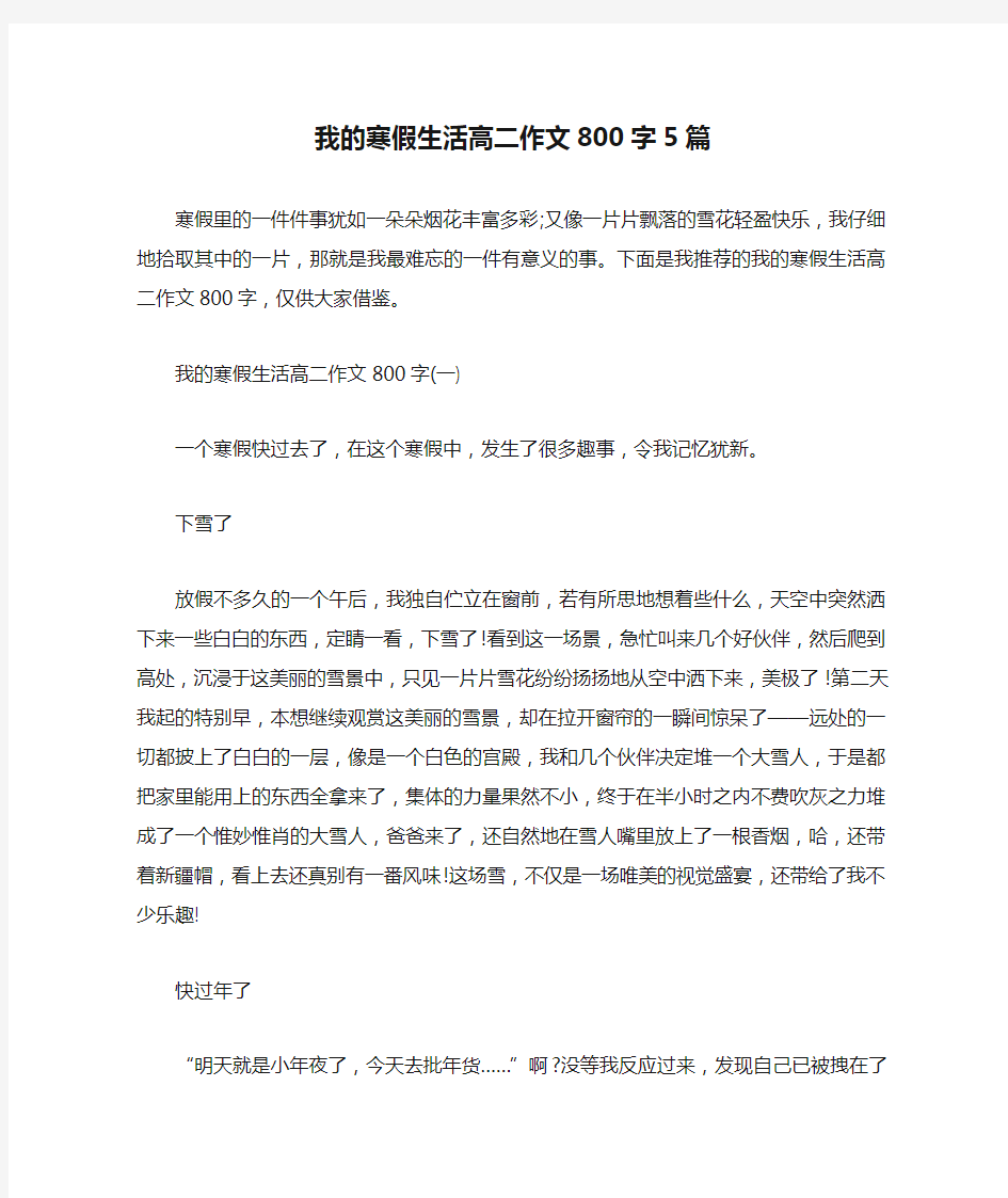 我的寒假生活高二作文800字5篇