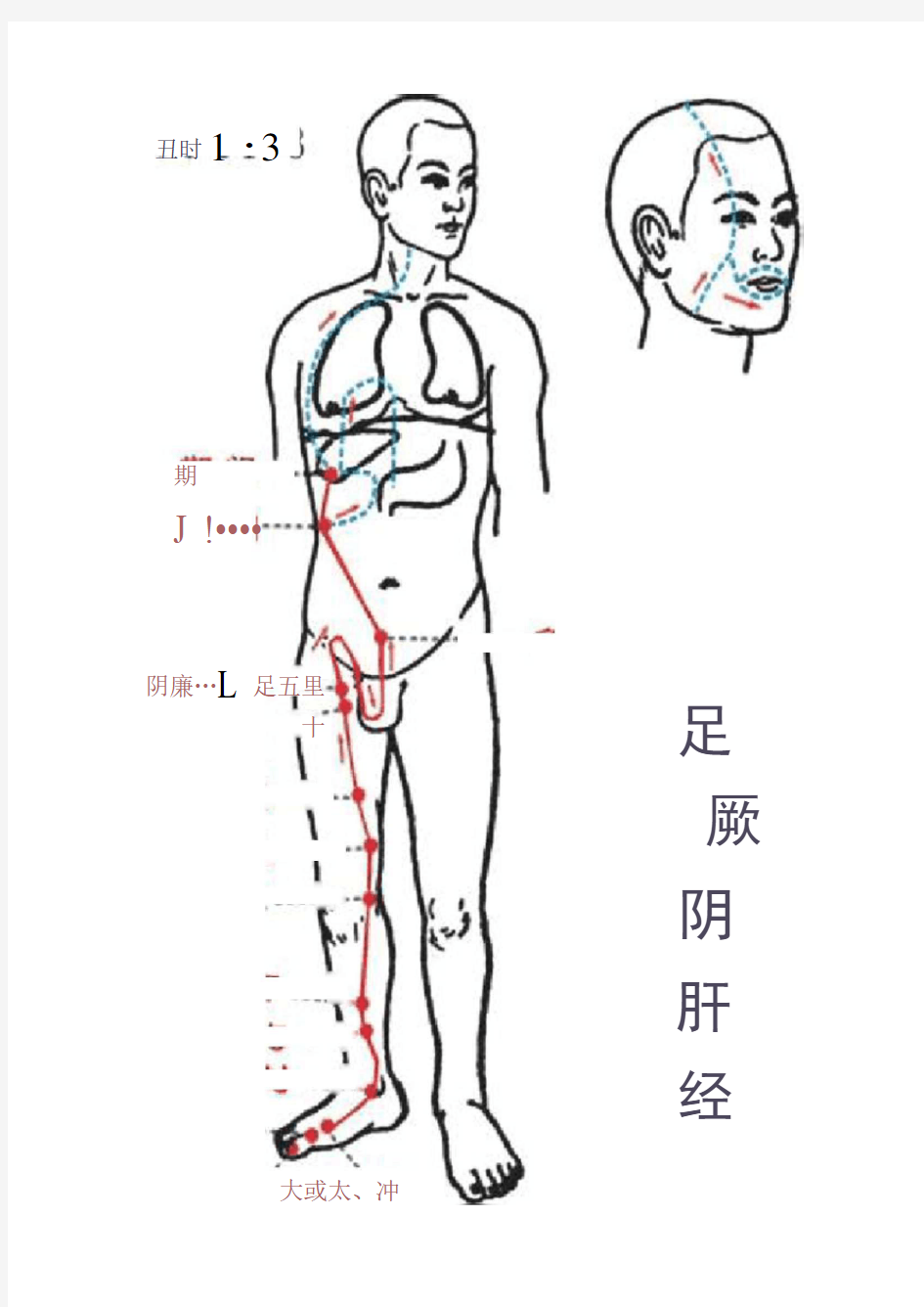 十二经络高清图(包含经络穴位)