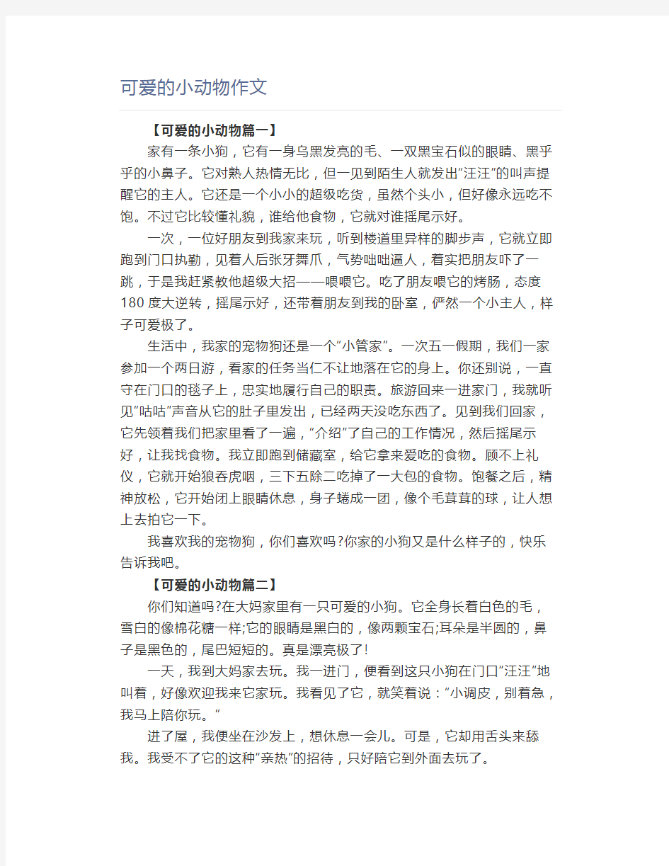 可爱的小动物作文