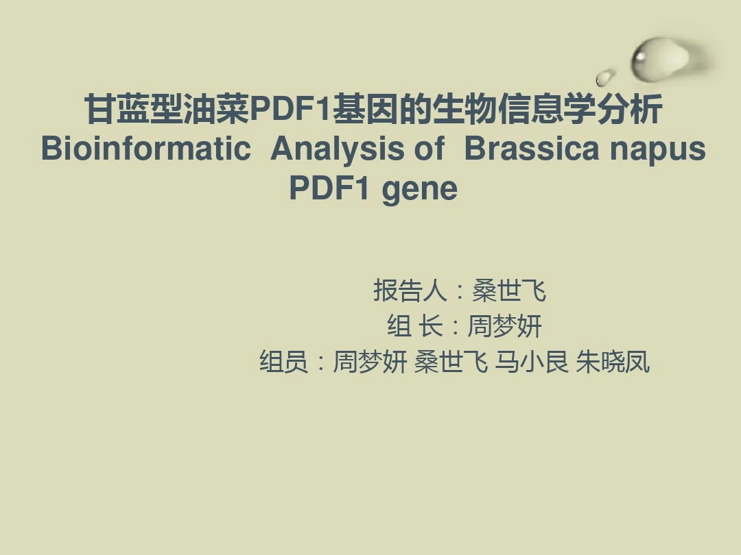 甘蓝型油菜PDF1基因的生物信息学分析