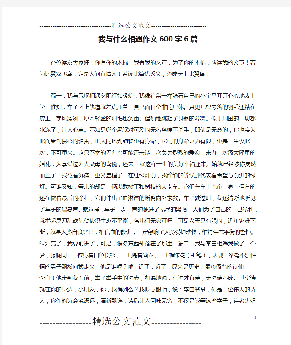 我与什么相遇作文600字6篇