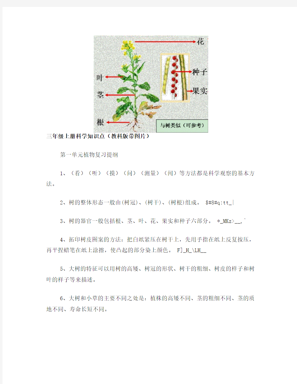 三年级上册科学知识点(教科版带图片)