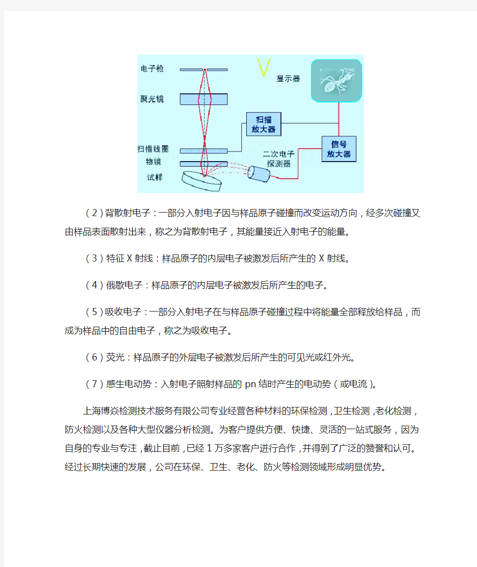 电镜检测项目有哪些