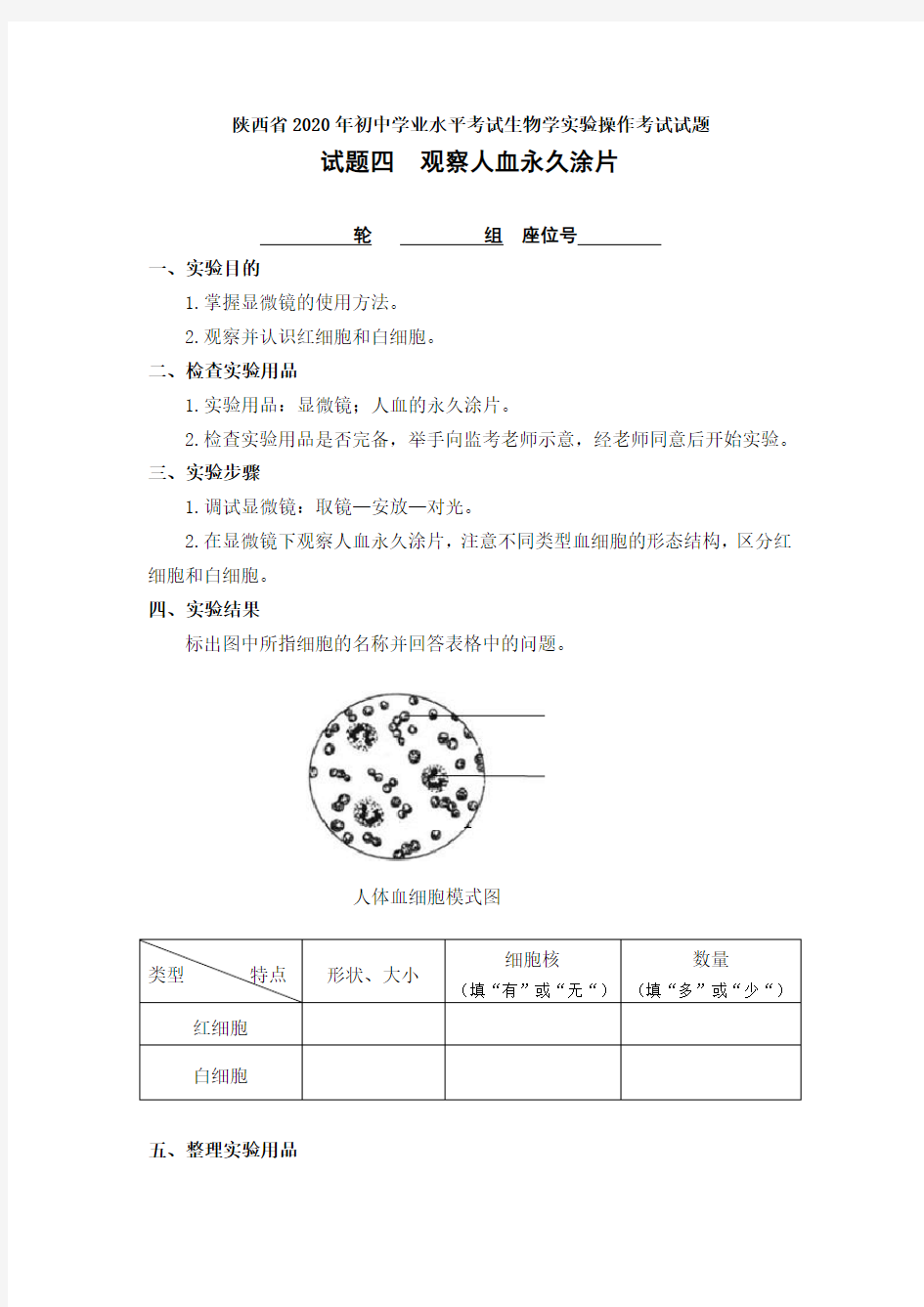 初中学业水平考试生物学实验操作考试试题四  观察人体血液的永久涂片