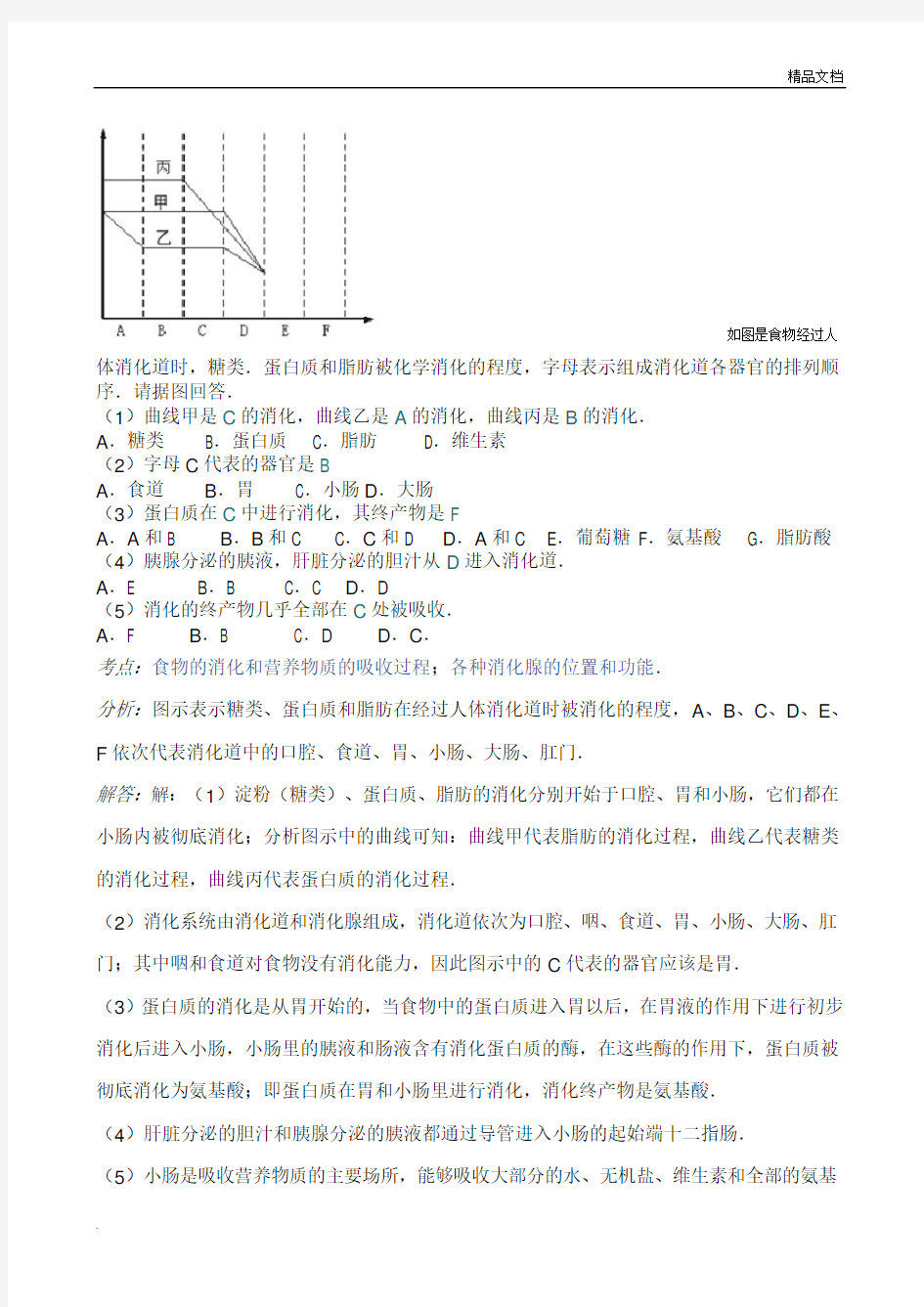 人体食物的消化过程图