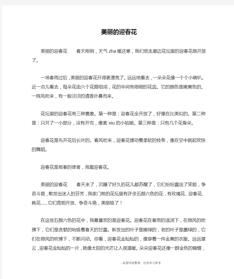 美丽的迎春花_三年级作文