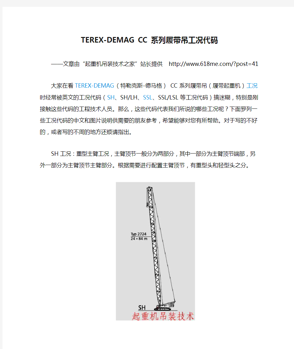 TEREX-DEMAG CC系列履带吊工况代码