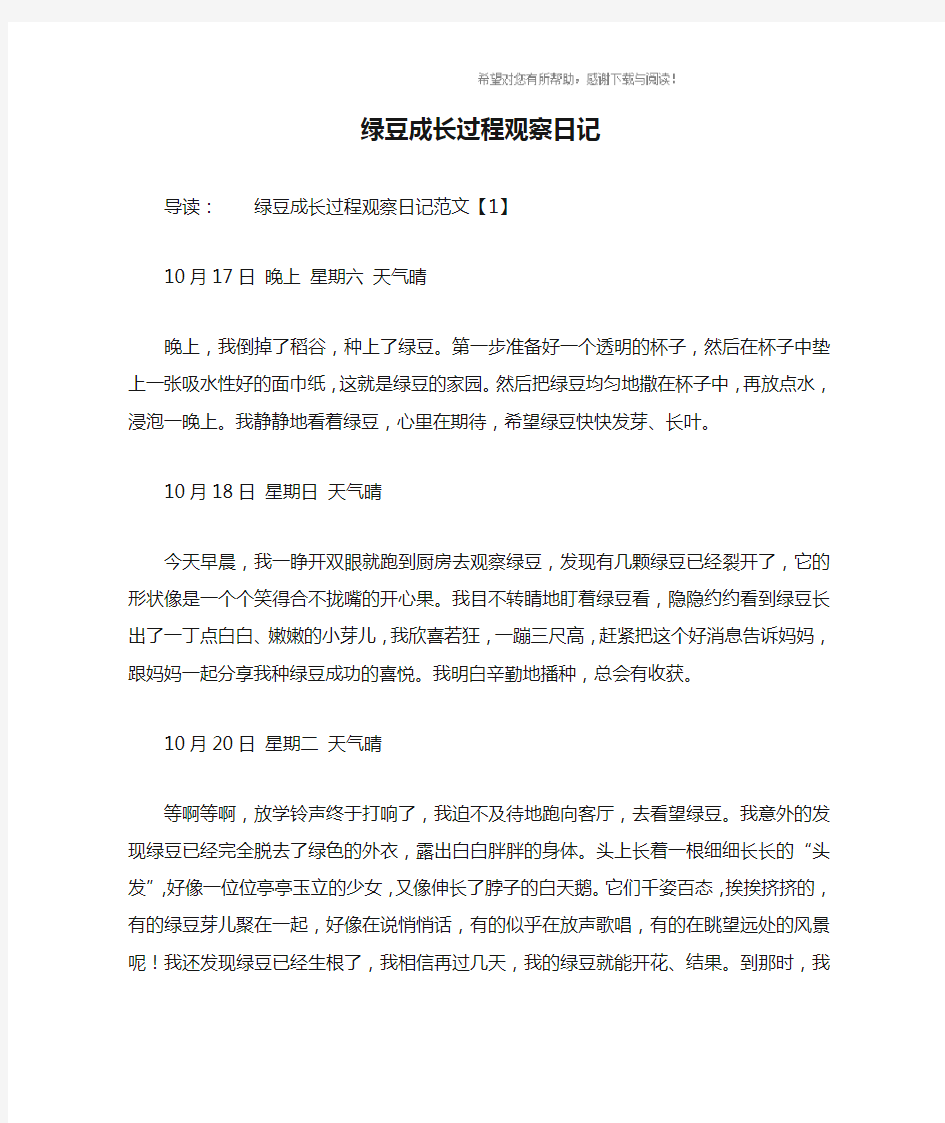 绿豆成长过程观察日记