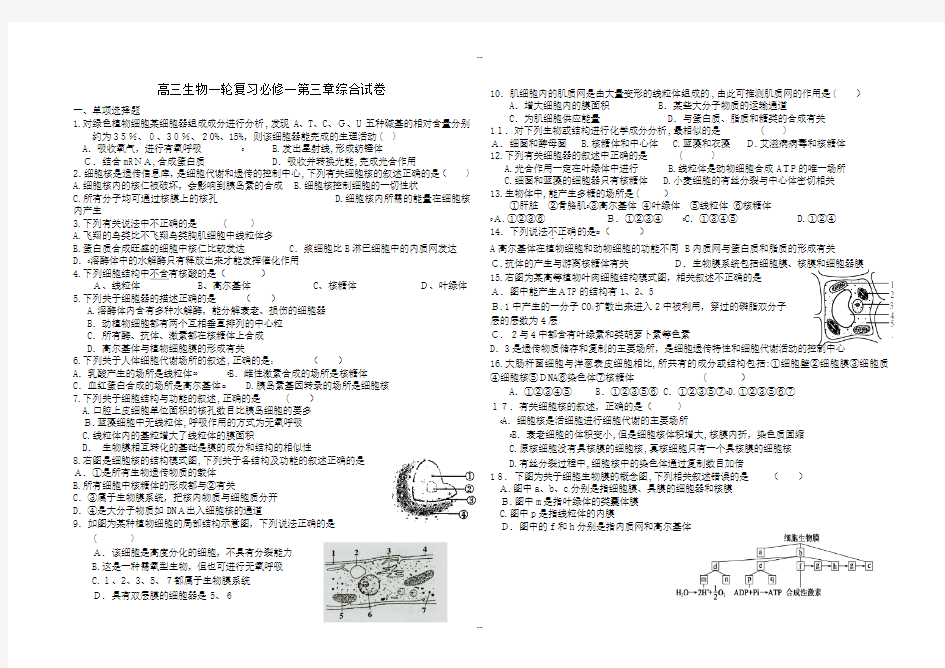 高中生物必修一第三章练习题及答案