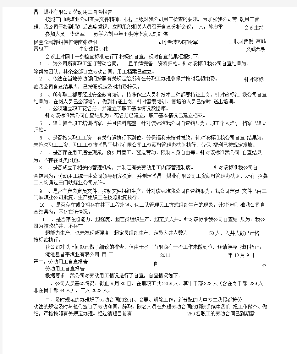 用工自查报告总结.doc