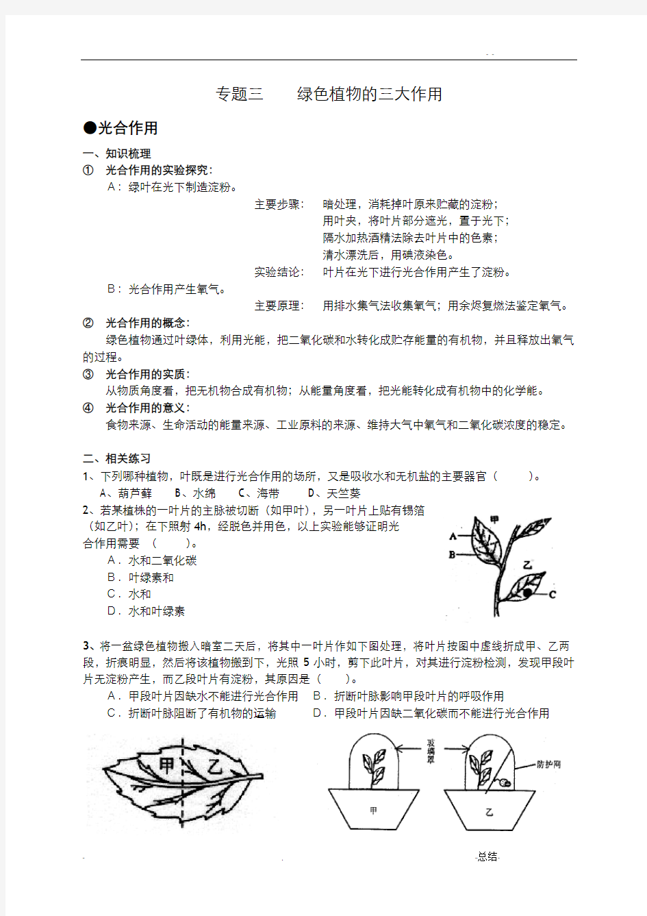 绿色植物的三大作用