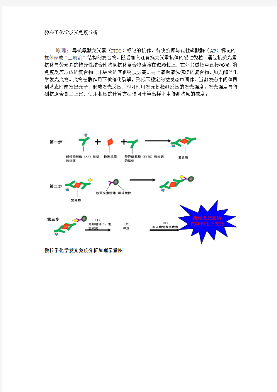 磁微粒化学发光