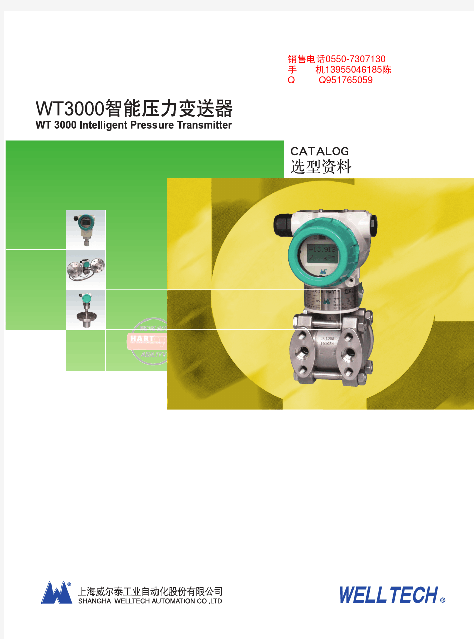 威尔泰WT3000压力(差压)变送器选型样本