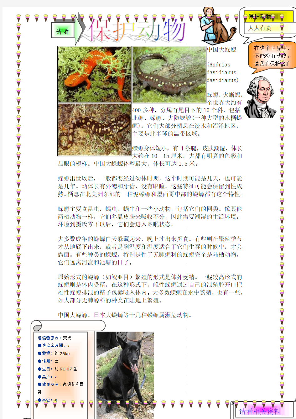 中国大蝾螈