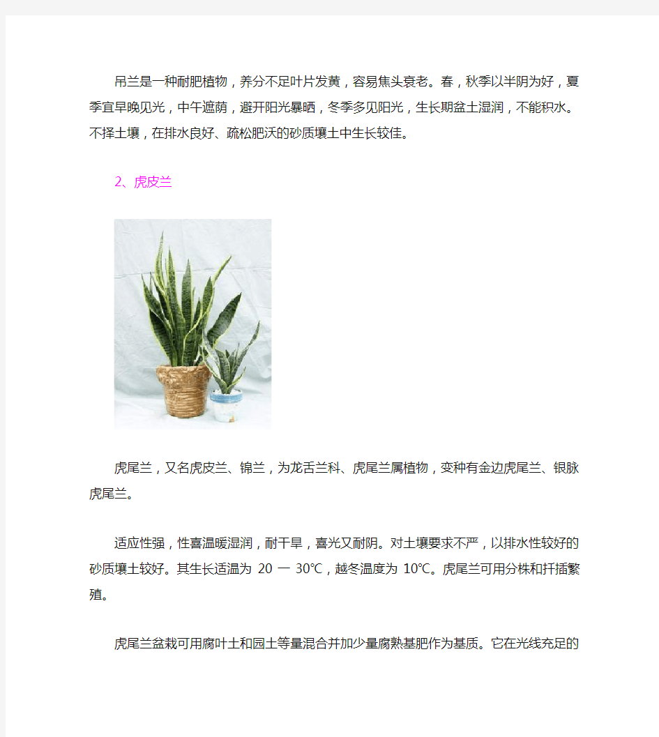 自然界中吸收甲醛的十大植物