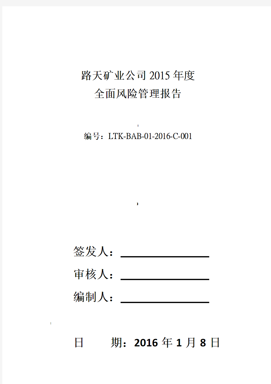 年度全面风险管理报告