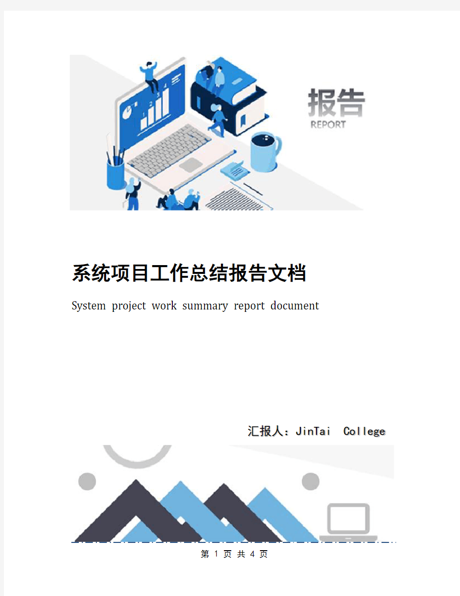 系统项目工作总结报告文档