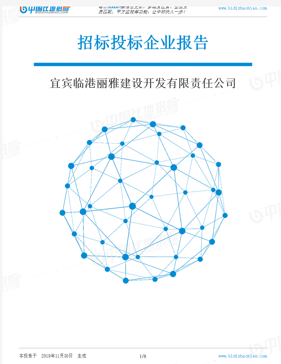 宜宾临港丽雅建设开发有限责任公司-招投标数据分析报告