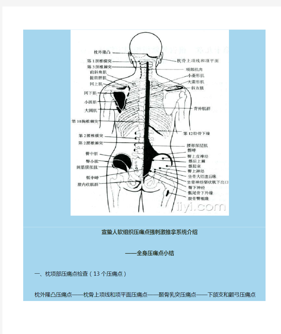 宣蛰人软组织疼痛强刺激推拿压痛点(解剖图)