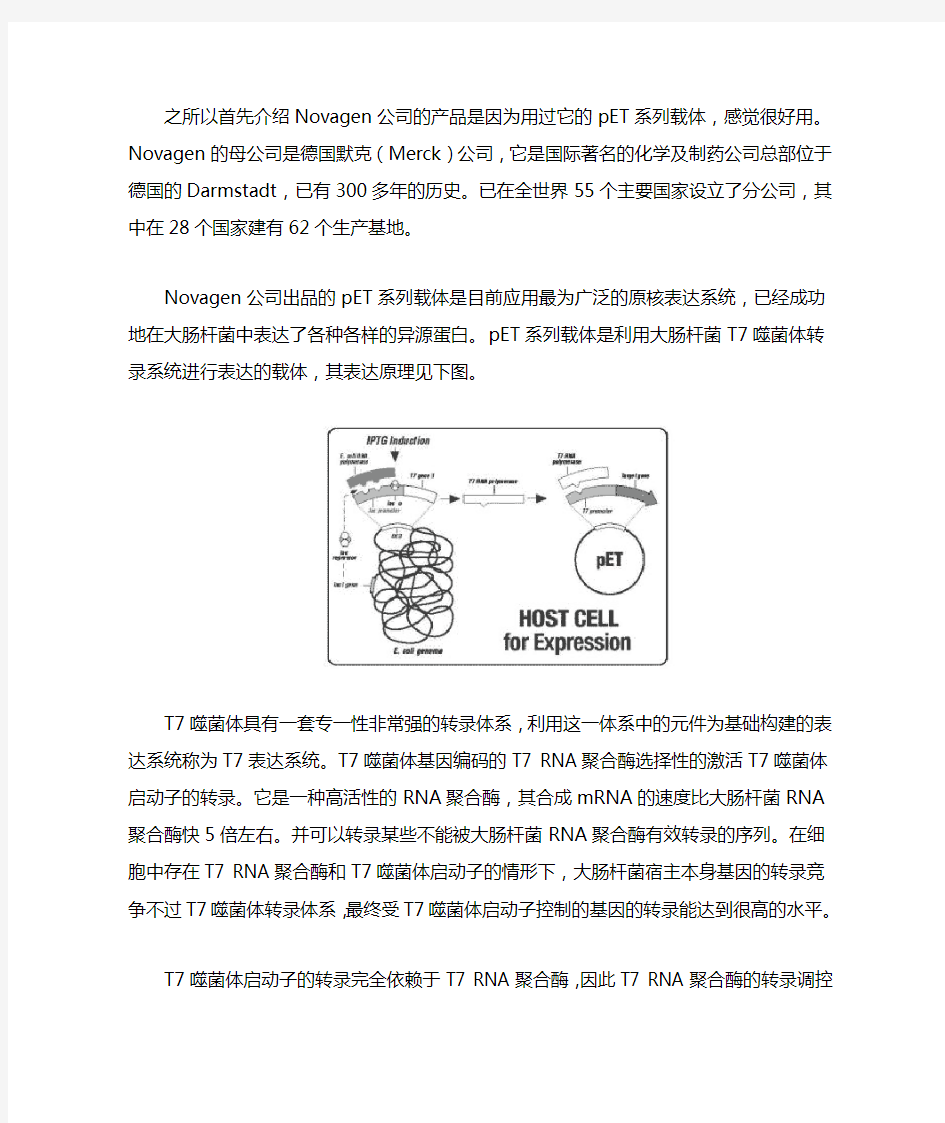 如何做原核表达——面面俱到Novagen产品