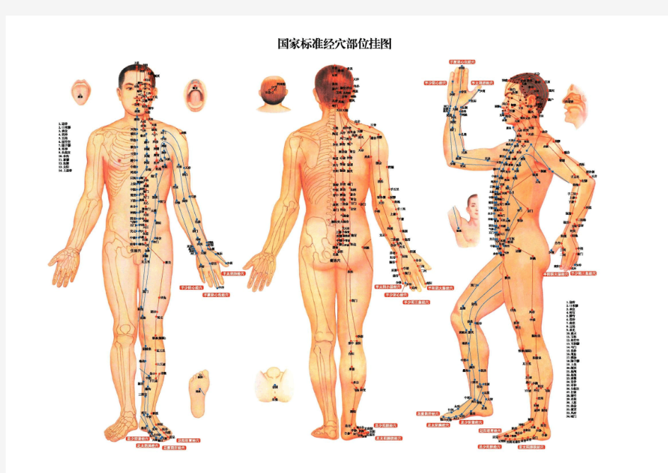 人体穴位全面高清大图