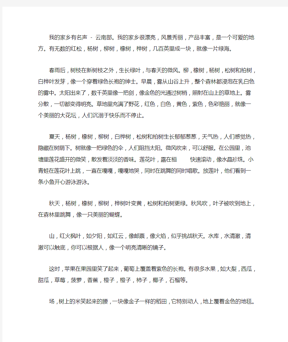 我美丽的家乡—云南