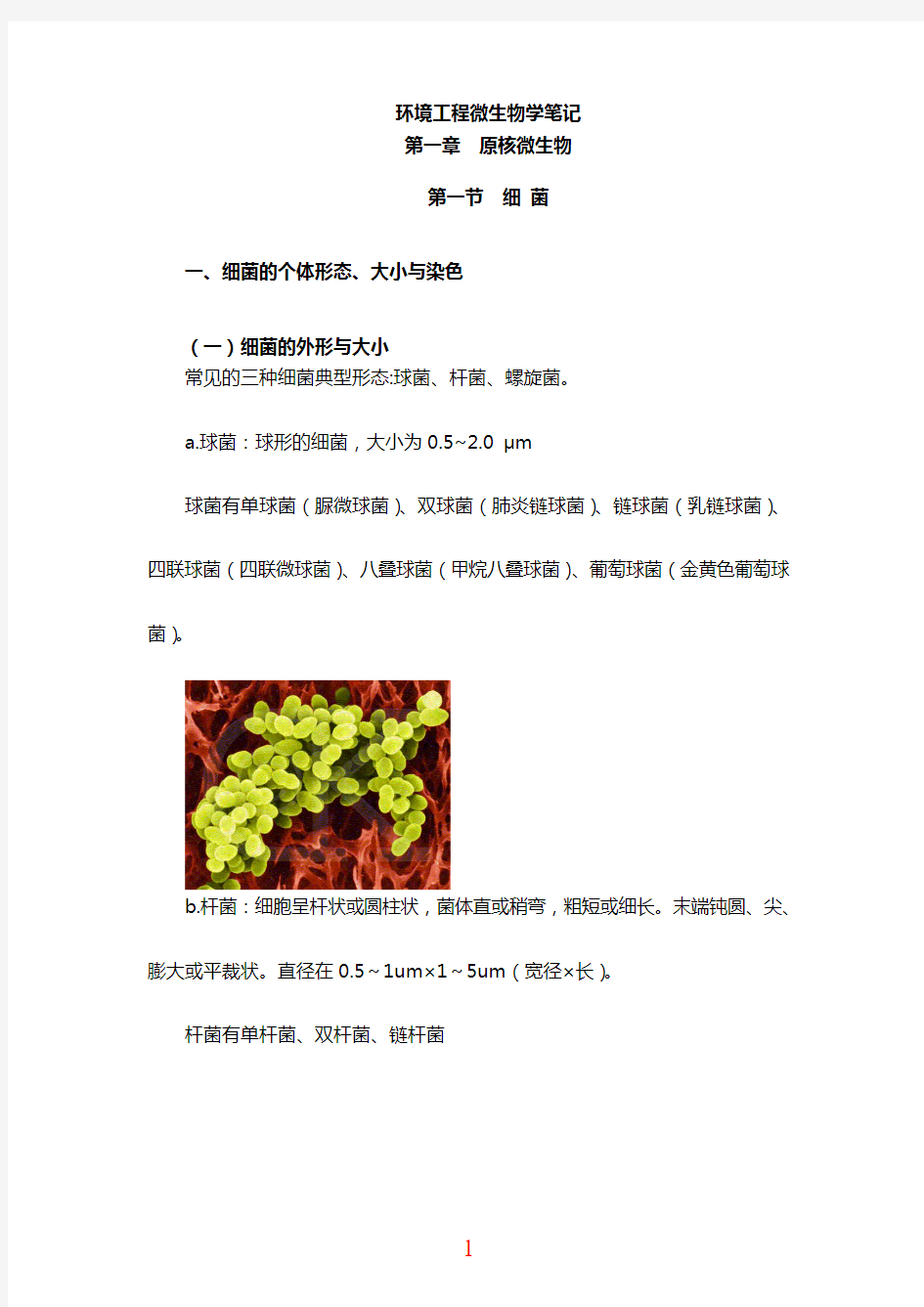 813环境工程微生物学考研精品笔记