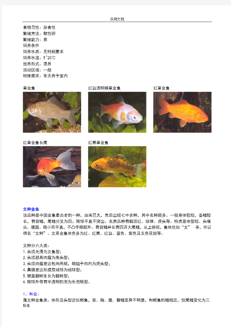 (全)金鱼种类及图片
