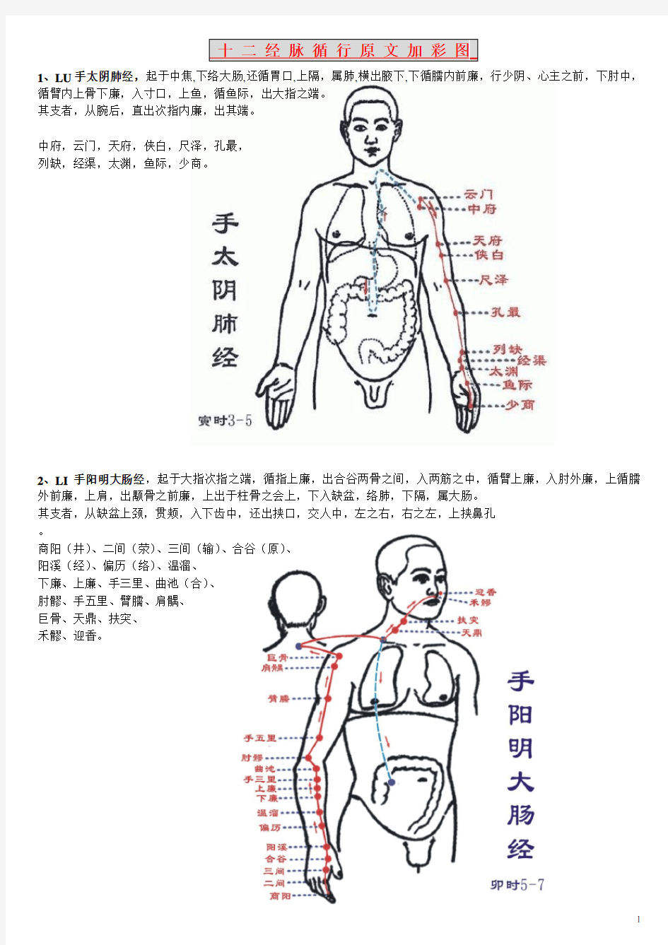 针灸学 十二经脉 循行 灵枢 原文 加 彩图 (经典图文并茂)