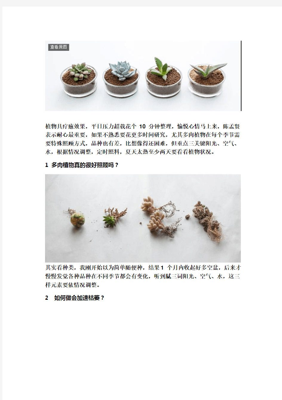 你的多肉植物为什么养不活