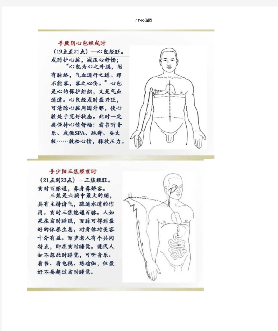 全身经络图专业版