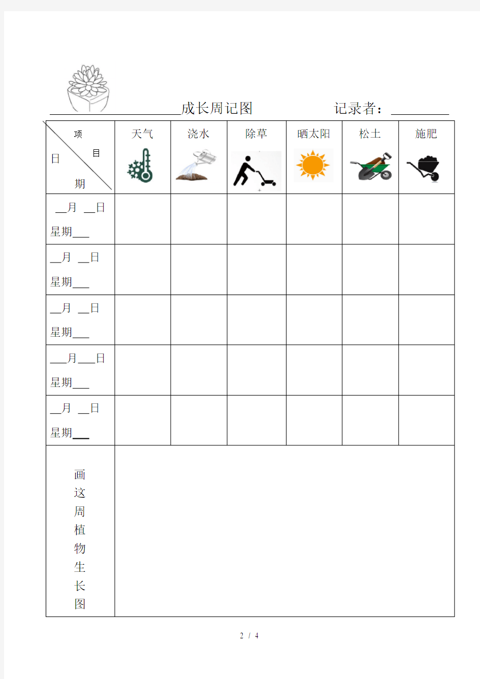 植物观察记录表